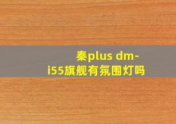 秦plus dm-i55旗舰有氛围灯吗